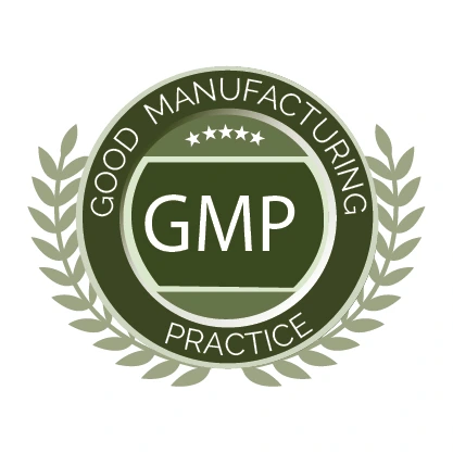 GMP 1